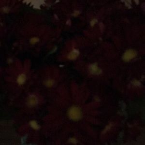 Meet your Posher, Lexie